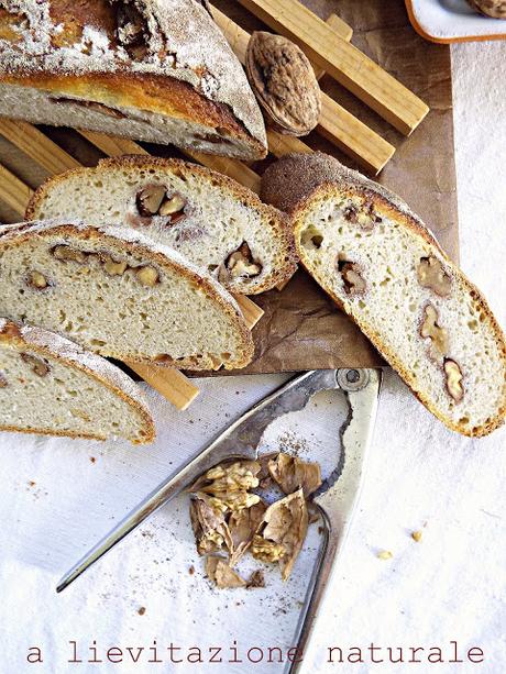 Pane alle noci e semola Senatore Cappelli (in a moonlight shadow)