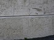 storia presunto tumore Papa Francesco