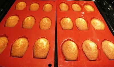 Madeleines al limone e la falsa malattia del Papa