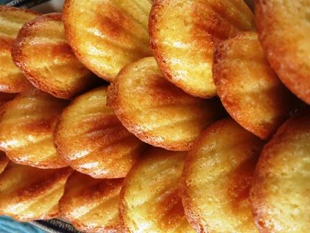 Madeleines al limone e la falsa malattia del Papa