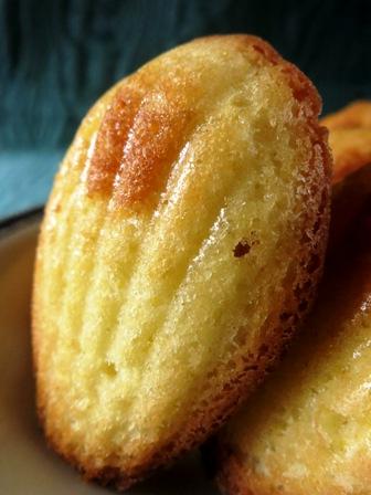 Madeleines al limone e la falsa malattia del Papa