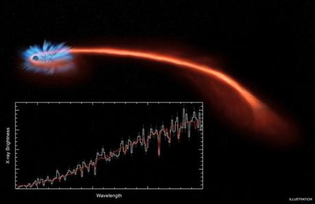 Quando una stella si avvicina a un buco nero