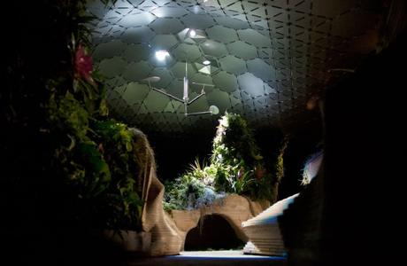 Lowline, in mostra il primo parco sotterraneo al mondo. Ananas, fragole e alberi vivono grazie a… sole e crowdfunding