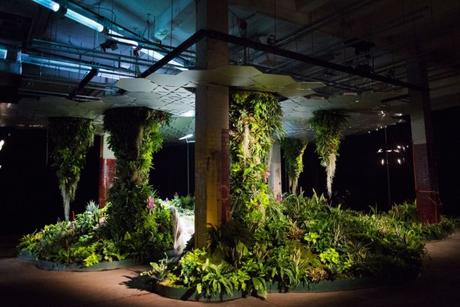 Lowline, in mostra il primo parco sotterraneo al mondo. Ananas, fragole e alberi vivono grazie a… sole e crowdfunding