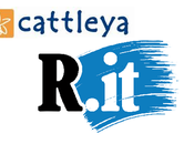 Repubblica Cattleya insieme nuove series