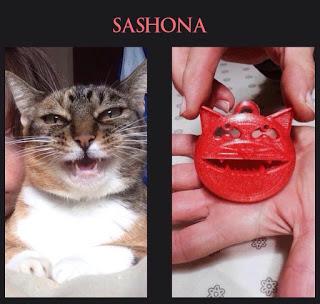 PAVIA. palline micio-solidali forma gattino aiutare 