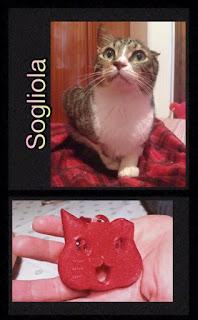 PAVIA. palline micio-solidali forma gattino aiutare 