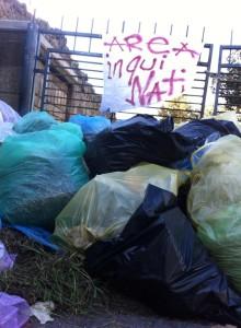 Studenti puliscono il parco abbandonato