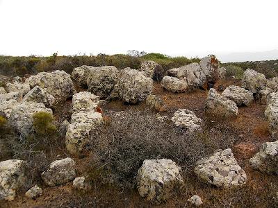 Una Stonehenge in Sardegna. Un titolo inflazionato per un monumento finora unico nell'isola
