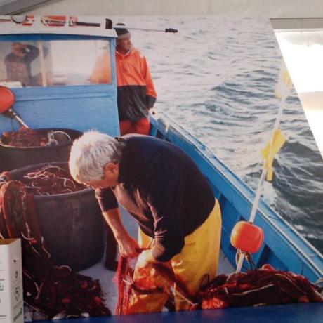 “Fishfesta 2015” a Santa Marinella dal 9 ottobre al 1 novembre