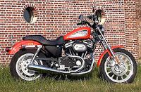 Harley, scene dal precariato lavorativo