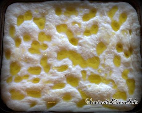 12182210_851951288252002_969133053_n