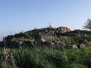 Nuraghe Su Sonadori - Villasor- CA