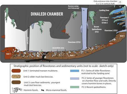 La Grotta dell’Homo Naledi: un esempio di come fare scienza
