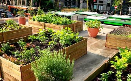 Laboratori per l’Orto e Giardino Urbano all’Asilo Filangieri