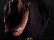 Manovra riuscita ritratto famiglia