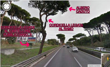 Licenza di uccidere trascurando gli alberi