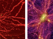 "Alcuni Fisici hanno trovato prove l'Universo Cervello Gigante"