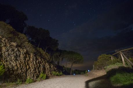 Tenuta delle Ripalte, Foto & Video