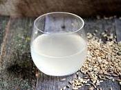 Rejuvelac, acqua fermentata purificante