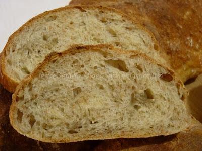 Pan ciabatta senza impasto con crusca, semi di girasole e solo 1 g di lievito