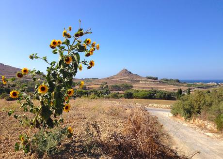 Malta a Ottobre, tante storie che si intrecciano