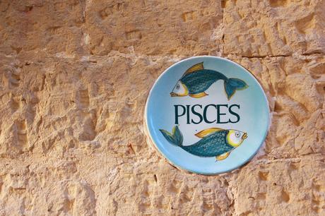 Pisces - Foto di Elisa Chisana Hoshi