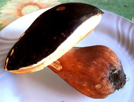 Crostini ai funghi porcini (Boletus Aereus)