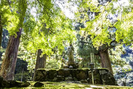 Giappone, parco dello Eiheiji. Foto di Elena Bianco