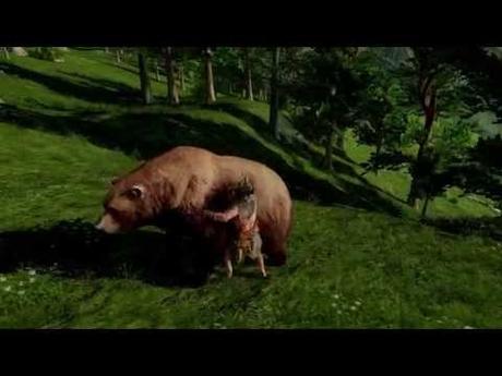 Immagine anteprima YouTube