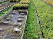 Blogtour Garfagnana: banca germoplasma agricoltori custodi