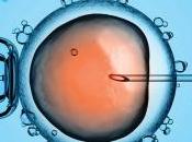 Regione Lombardia chiedeva fino 4mila euro fecondazione eterologa. Tar: “Illegittimo pagare coppie”