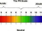 L'equilibrio acido base