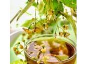 tiglio, tisana celebre della letteratura