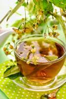 Il tiglio, la tisana più celebre della letteratura