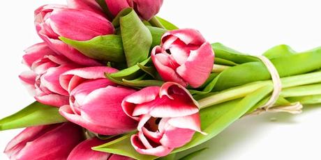 Fiori recisi, consigli casalinghi