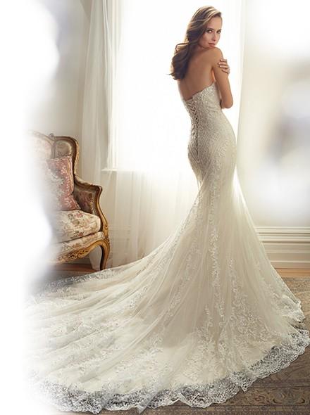 Charming Strapless Natural Train Lace Ivory Sleeveless Wedding Dress with Appliques LWLT1408B