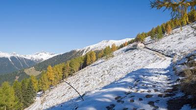 Malga Cima nei Lagorai