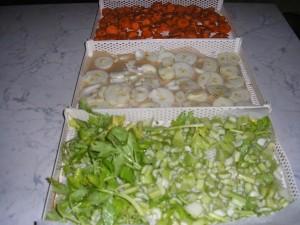 COME ESSERE LIBERI AL GIORNO D’OGGI