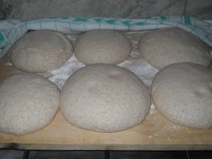 COME ESSERE LIBERI AL GIORNO D’OGGI