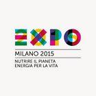 2 biglietti Expo 2015 affare