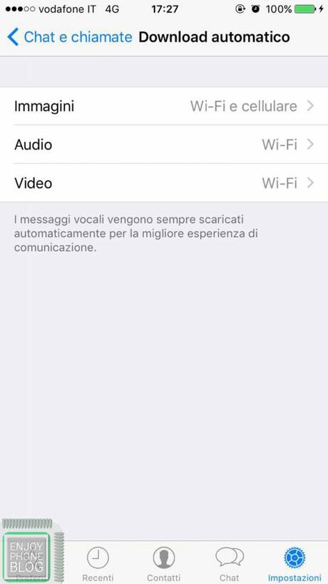 dati_whatsapp_iOS_screen_4
