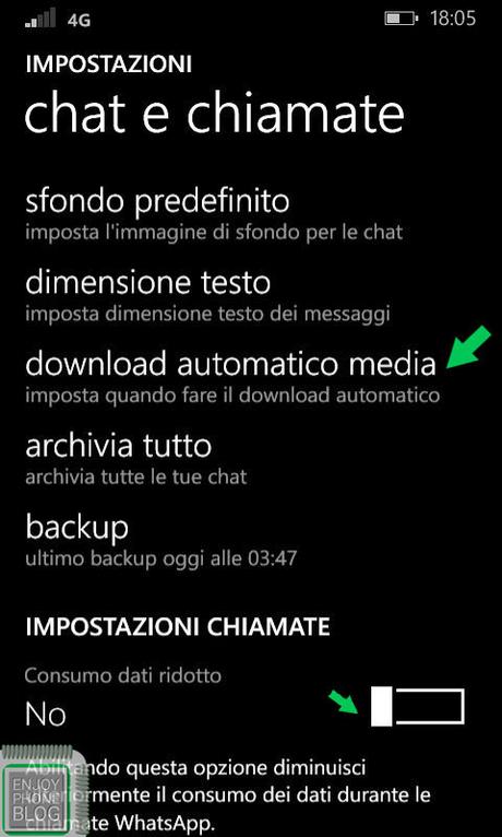 dati_whatsapp_windows_screen_4