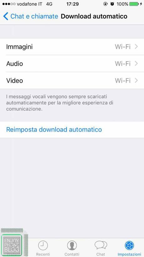 dati_whatsapp_iOS_screen_8