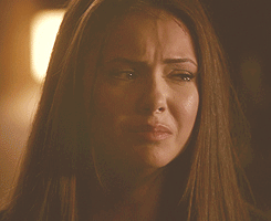 Parliamone | Fitzsimmons