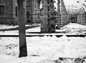 Rari Suicidi Campi Concentramento Gulag