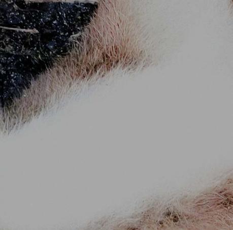 N + [ B O L T ], il video