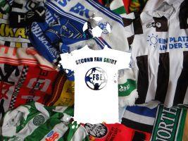 Gli ultras e i fans project del Friburgo ricevono un'altra donazione per la campagna #secondfanshirt