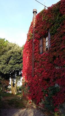 Romantico autunno in Toscana..