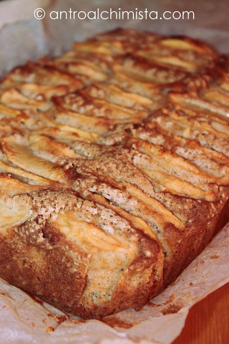 Torta di Mele e Cannella con Farina di Riso e Miele di Castagno